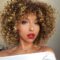 Afro Wigs For Black Women Short Kinky Curly Full Wigs Brown Mixed Blonde Synthetic Wigs